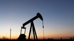 Ấn Độ đề nghị OPEC giải quyết về việc định giá dầu thô bất thường