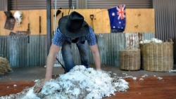 Sau rượu vang, sản phẩm nào của Australia sẽ rơi vào ‘tầm ngắm’ của Trung Quốc?