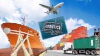 Mua sắm online thúc đẩy thị trường logistics thương mại điện tử