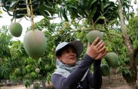 Đẩy mạnh quảng bá nông sản Việt Nam tại Nhật Bản