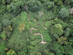 Gabon – ‘Người khổng lồ xanh’ của châu Phi