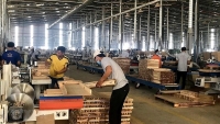 Việt Nam chưa có thông tin về việc có gỗ Nga trong sản phẩm gỗ xuất sang Mỹ