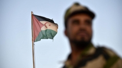 Algeria bác tuyên bố của Mỹ công nhận chủ quyền Morocco với Tây Sahara