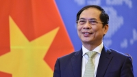 Bộ trưởng Ngoại giao Bùi Thanh Sơn sẽ tham dự Hội nghị đặc biệt Bộ trưởng Ngoại giao ASEAN-Ấn Độ