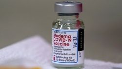 Người tiêm mũi tăng cường vaccine Moderna chỉ bằng một nửa liều cơ bản