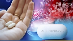 Bệnh nhân Covid-19 nào nên và không nên uống thuốc Molnupiravir