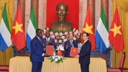 Việt Nam-Sierra Leone: Thúc đẩy quan hệ, sớm đạt mục tiêu trong kế hoạch phát triển quốc gia