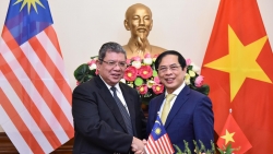 Thống nhất định hướng lớn cho hoạt động kỷ niệm 50 năm quan hệ ngoại giao Việt Nam-Malaysia