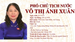 Chân dung tân nữ Phó Chủ tịch nước trẻ nhất từ trước đến nay Võ Thị Ánh Xuân