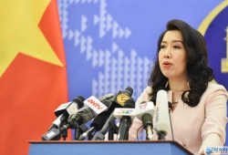 Người phát ngôn Bộ Ngoại giao thông tin về việc nối lại đi lại với các nước