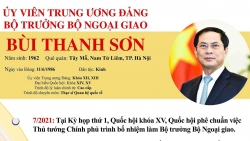 Ủy viên Trung ương Đảng, Bộ trưởng Bộ Ngoại giao Bùi Thanh Sơn