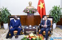 Việt Nam - Sierra Leone tăng cường đầu tư mỗi nước