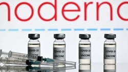 Công bố mới của Moderna về hiệu quả vaccine, cân nhắc mũi tăng cường