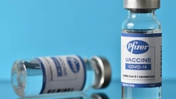 Hiệu quả của Vaccine Pfizer và Moderna kéo dài bao lâu?