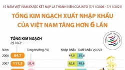 15 năm Việt Nam là thành viên của WTO: Kim ngạch xuất nhập khẩu tăng hơn 6 lần