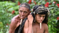 Covid-19 ở Brazil: Bức ảnh con trai cõng cha đi tiêm phòng của thổ dân Amazon gây 'sốt'
