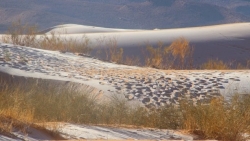 Không khí lạnh bao phủ, sa mạc Sahara chìm trong tuyết trắng mùa Đông