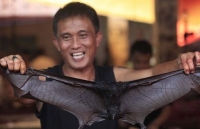 Indonesia: Hàng loạt nhà hàng ngừng bán món đặc sản dơi hầm vì virus corona