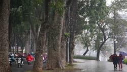 Dự báo thời tiết đêm nay và ngày mai (4-5/3): Bắc Bộ đêm và sáng trời rét, mưa phùn và sương mù, Tây Bắc hửng nắng; Nam Bộ ngày nắng nóng