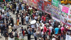 Lễ hội Việt Nam tại Nhật Bản: Kỳ vọng tái khởi động giao lưu văn hóa giữa hai nước