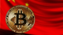 Tiền điện tử hôm nay 6/9: Bitcoin tiếp tục lao dốc, không còn là 'thiên đường trú ẩn'?