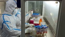 Bộ Y tế: 31 mẫu Covid-19 tại Bệnh viện K và 6 địa phương mang biến thể virus phát hiện ở Ấn Độ, Anh