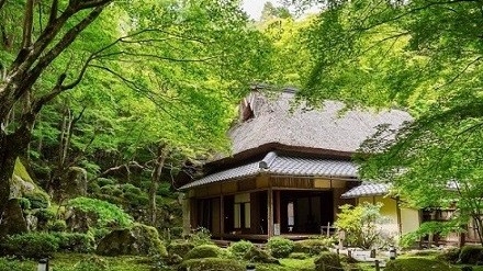 Nhật Bản: Ngôi đền cổ 1.500 tuổi nép dưới tán cây xanh mát
