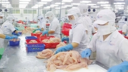 Nam Phi - Cửa ngõ quan trọng để thủy, hải sản Việt Nam vào thị trường khu vực