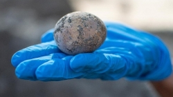 Israel tìm thấy quả trứng gà 1.000 năm tuổi vẫn còn nguyên vẹn