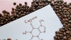 Nghiên cứu mới: Caffeine có tác dụng chống lại khối u ác tính