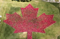 Gần 4.000 người xếp hình biểu tượng Canada, lập kỷ lục Guiness