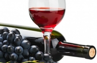 Xuất khẩu rượu vang Australia khởi sắc sau một thập kỷ