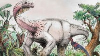 Phát hiện khủng long 12 tấn từng là loài vật lớn nhất trên cạn