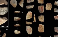 Phát hiện bằng chứng cho thấy người cổ đại tái chế các công cụ cách đây 500.000 năm