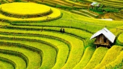Tạp chí Mỹ bình chọn Việt Nam vào top 10 quốc gia du lịch tuyệt vời nhất thế giới năm 2020