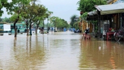 Dự báo thời tiết đêm nay và ngày mai (8-9/10): Đông Bắc Bộ mưa to đến rất to; Trung Bộ, Tây Nguyên, Nam Bộ cục bộ mưa vừa mưa to; Tây Bắc ngày nắng