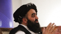 Afghanistan: Taliban đề nghị Mỹ dỡ bỏ trừng phạt đối với ngân hàng trung ương