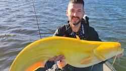 Thợ câu Hà Lan bắt được con cá kỳ lạ da trơn vàng óng như quả chuối chín