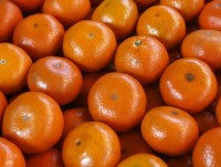 Triều Tiên phát quýt do Tổng thống Hàn Quốc gửi tặng cho người dân