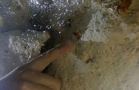 13 răng cá mập thời tiền sử được tìm thấy trong hang động Mexico