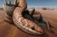 Phát hiện hóa thạch rắn cổ đại lý giải tại sao rắn không có chân