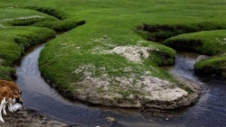 Trung Quốc: Bí ẩn dòng sông 10.000 năm tuổi, dài 17 km, đoạn hẹp nhất chỉ khoảng 4 cm