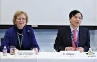 Việt Nam chủ trì họp Ủy ban ASEAN tại Liên hợp quốc