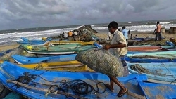 Ấn Độ: Xuất khẩu các sản phẩm thủy sản tăng 35%