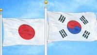 Nhật Bản xem xét nghiêm túc cuộc đối thoại cấp cao với Hàn Quốc