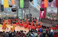 Festival văn hóa sắc màu các dân tộc Việt Nam tại Đức 