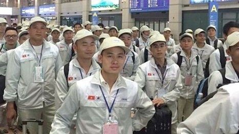 Hơn 45 nghìn lao động Việt Nam làm việc ở nước ngoài trong năm 2021