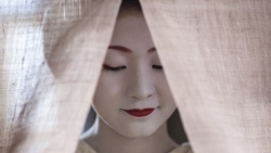 Triển lãm ảnh 'Khoảnh khắc bí mật của Maiko' tại Hà Nội