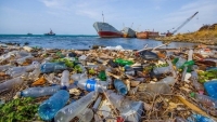 Ô nhiễm nhựa tại Việt Nam: Bài toán cần tìm lời giải cấp thiết