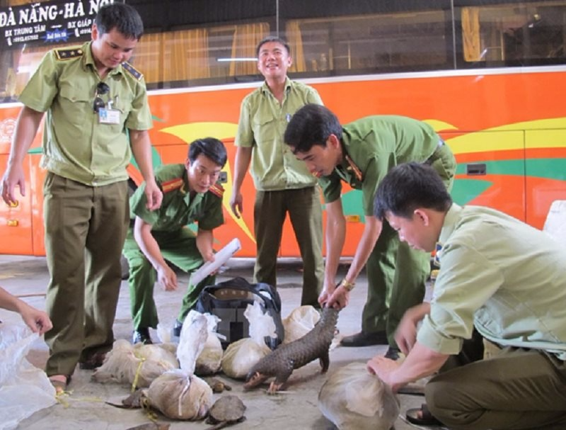 WWF hoan nghênh Chỉ thị mới của Thủ tướng Chính phủ về giải quyết nạn buôn bán trái phép động vật hoang dã